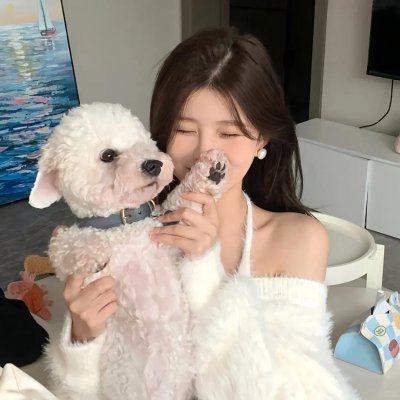 副总统第四季封面