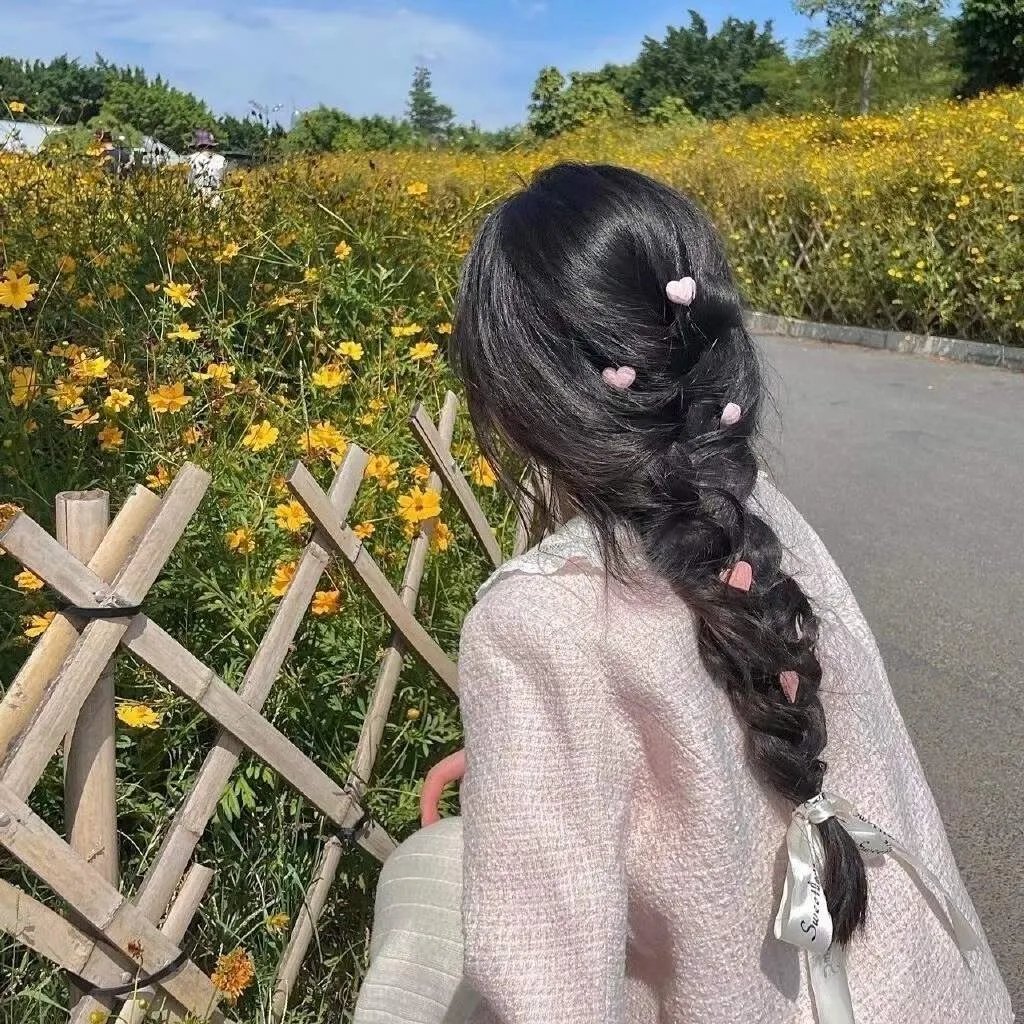 双世美姬封面